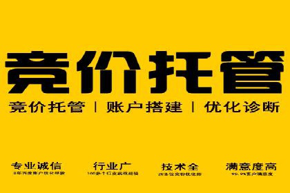 百度竞价SEM：成功案例解析与效果评估